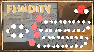 Fatty Acids, Temperature, and Cholesterol - Impacting Membrane Fluidity & Lateral Diffusion