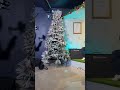 HOLY NIGHT|| Fr. Stephen TOUTHANG|| INSTRUMENTAL SHOW||