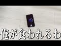 Siriのオススメする「ペット」が怖すぎるんだけどwww
