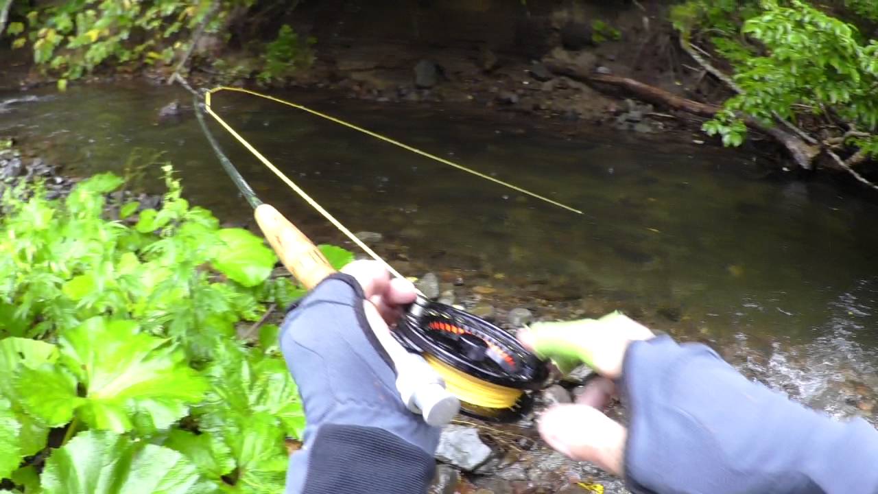 北海道 道南の渓流でニジマス Youtube