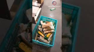 Power socket plug socket part horizontal flow bag film wrapping sealing packaging machine running vi