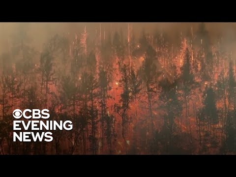 California's biggest fire so far this year grows to 50,000 acres
