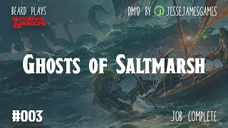 Ghosts of Saltmarsh #003 - DND5e Live Play