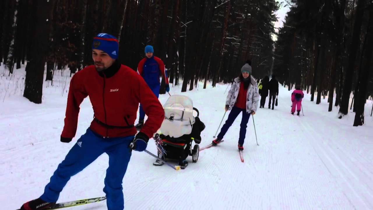 парк мещерский официальный сайт лыжи. мещерский парк одинцово. мещерский парк лыжи напрокат. прокат лыж в мещерском парке. мещерский парк зимой.