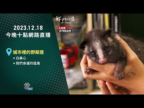 【直播放映室】2023.12.18 公視我們的島今晚十點 🔴LIVE