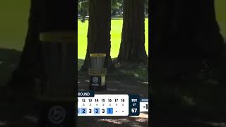 Maria Oliva 330Ft Ace?