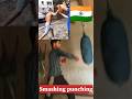 Smashing punching👊🔥 #shorts #boxing #punch #tutorial