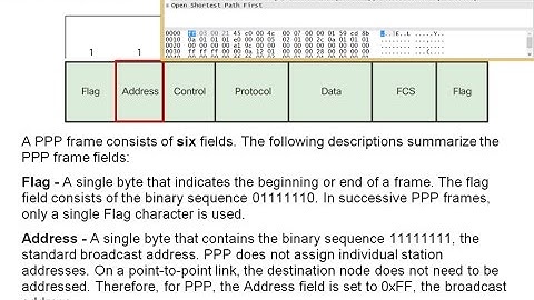 3.2  PPP Operation (CCNA 4: Chapter 3: Point-to-Point Connections)