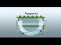 What Is Aquaponics System?