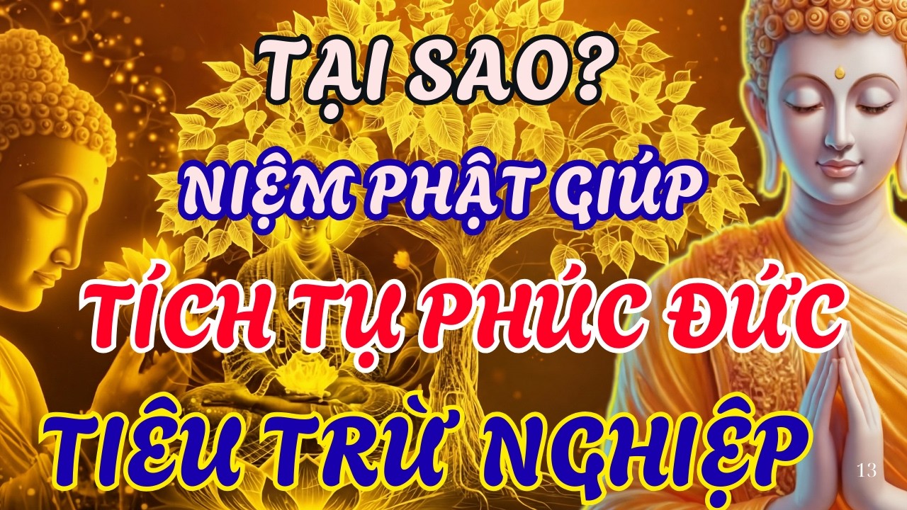LỜI PHẬT DẠY NHIỆM MÀU: VÌ SAO NHIỆM PHẬT GIÚP TÍCH TỤ PHÚC ĐỨC VÀ TIÊU TRỪ NGHIỆP NHANH NHẤT