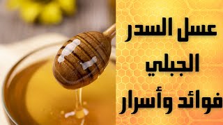 اسرارعسل السدر الجبلي واماذا هو من افضل انواع العسل ؟؟؟