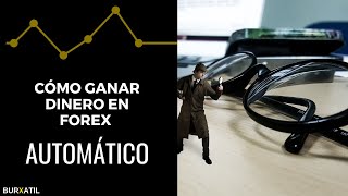 Forex trading en español | Cómo Ganar Dinero Sin hacer trading Zulutrade