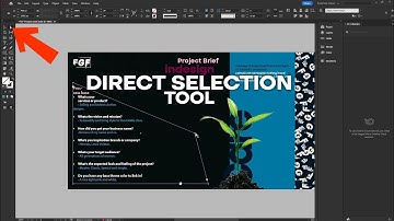 Adobe indesign Direct selection tool