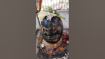 🧿🕉️1जुलाई मंगलवार धतूरा पुष्प का विशेष उपाय अशोक सुंदरी और शिवलिंग पर करें #उपाय #pradeepmishra#upay