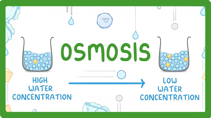 GCSE Biology - Osmosis (2026/27 exams)