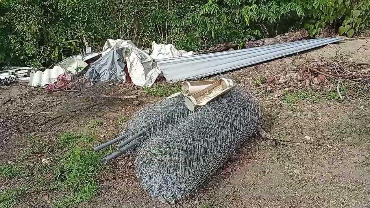 16 de janeiro de 2026