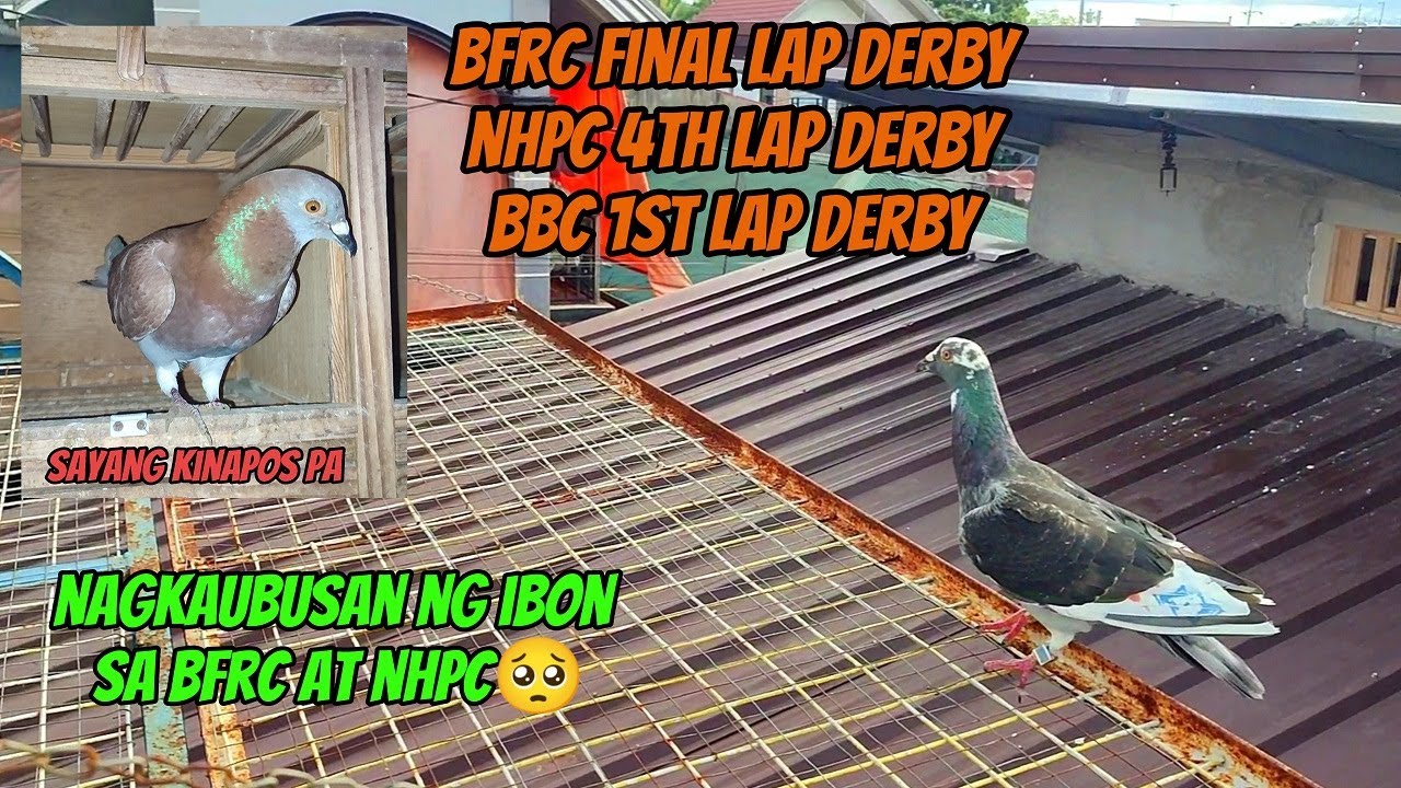 BFRC FINALAP DERY, NHPC 4TH LAP DERBY, BBC 1ST LAP DERBY - NAGKAUBUSAN NG IBON SA BFRC AT NHPC