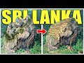 ஸ்ரீலங்கா பற்றிய பிரமிக்க வைக்கும் உண்மைகள் | Stunning Facts about Sri Lanka