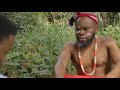 BABALAWO ADVISED ME INSTEAD