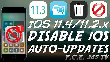 iOS 11.4 B3/11.3.x How to Disable Automatic iOS Updates (OTA Updates)