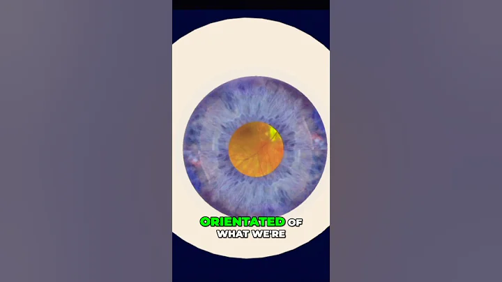 YAG Capsulotomy: See the Satisfying Laser Eye Surgery