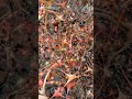 Consequences of having more oxygen on Earth #oxygen