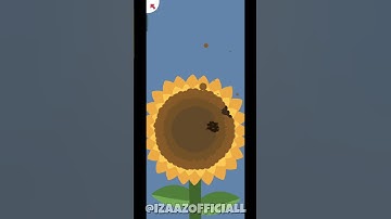 SATISGAME LEVEL 258 - 259