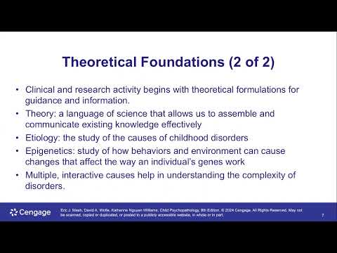 Theoretical Foundations in Understanding Psychopathology and the Developmental Macroparadigm