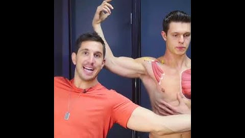 Pec Education and Stretches -MoveU