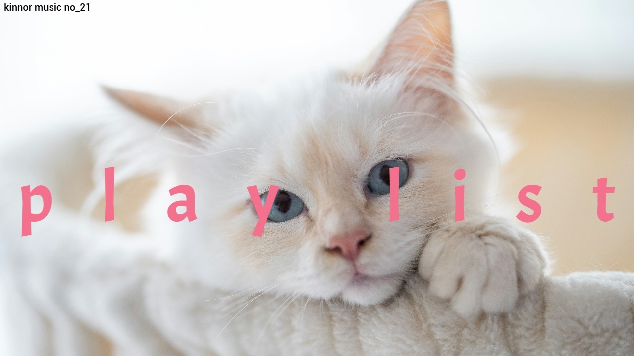 [play list]설레이는 이마음을 담을 띵한 곡~/ 전주만들어도  good~/ 오늘은 이거다./ 여기가 성수인듯 / 느좋뮤직 모음 [no_21]