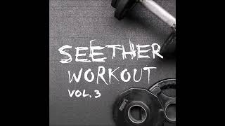Seether - Gasoline