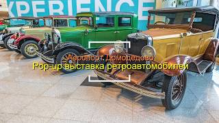 Pop-up выставка ретроавтомобилей. Аэропорт Домодедово