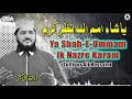 Ya Shah E Ummam Ik Nazre Karam | Zulfiqar Ali Hussaini | official version | OSA Islamic Mp3 Song