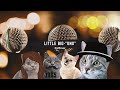Little Big – UNO (CATCOVER)-Поющие коты