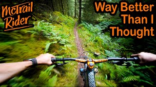 I Got Ae Forest All Wrong, Its Actually Really Good!