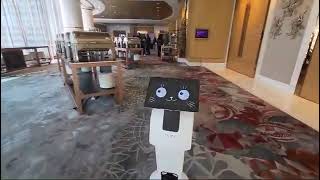 Temi Robot for Events UK | Robot Hire for Conferences & Exhibitions