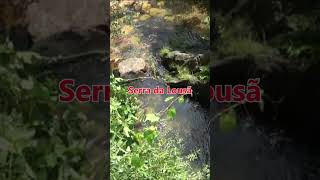 Serra da Lousã - Portugal #shorts