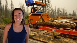 Repairing the Sawmill & Cutting Timber for the Next Big Project