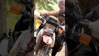 "Good Morning XR" |#adventureriding