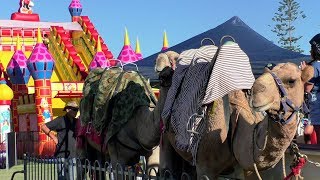 LiveLighter Arab Festival 2019 | Western Australia