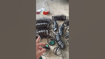 Bẫy chuột đồng nhiều nhất #shorts