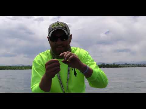 Summer Time Walleye Fishing Tactics To Catch More Fish