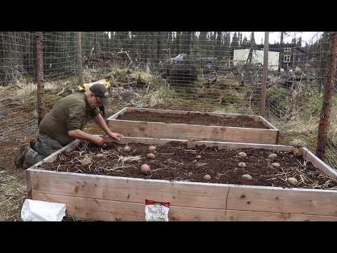 Planting this years garden and cleaning up a mess I created