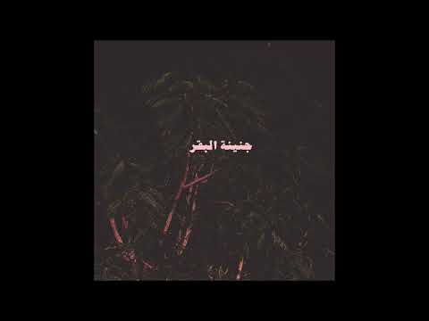 أكي