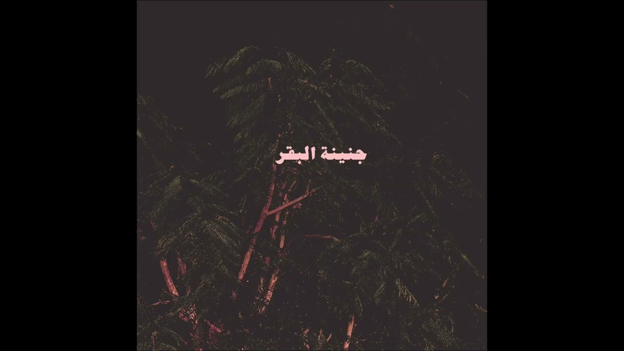 Guarda AKI - أكي su YouTube Guarda AKI - أكي su YouTube