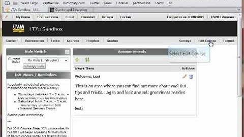 Creating Custom Links on the D2L Navigation Bar