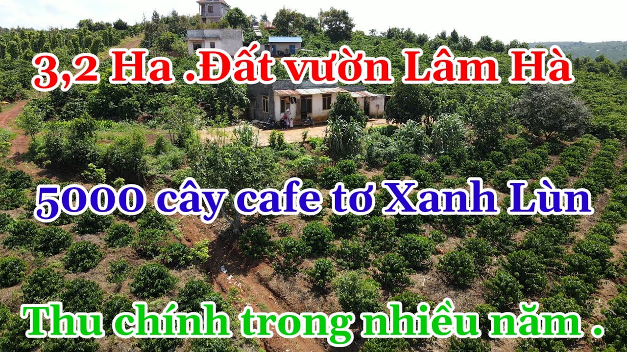 7️⃣. Bán đất vườn Lâm Hà Lâm Đồng 3ha2 .giá bán... - youtube