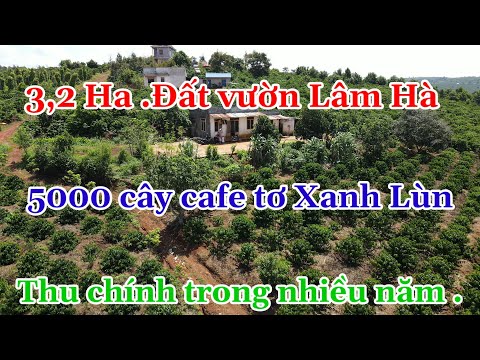 Video 7️⃣. Bán đất vườn Lâm Hà Lâm Đồng 3ha2 .giá bán... - youtube