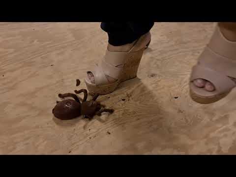 ASMR, POV, Spider in wedges