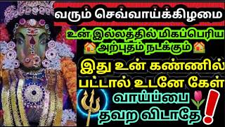 🔥கண்டதும் கேள்🌟பேரதிர்ஷ்டம் உண்டாகும் #amman#varaahiarulvakku#varahiamman#varahi#ammanarulvakku